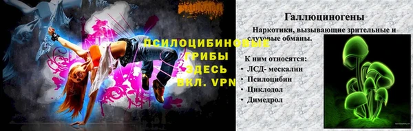 ПСИЛОЦИБИНОВЫЕ ГРИБЫ Алексин